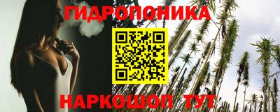 стаф Будённовск
