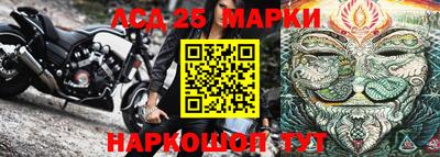 шишки Бузулук