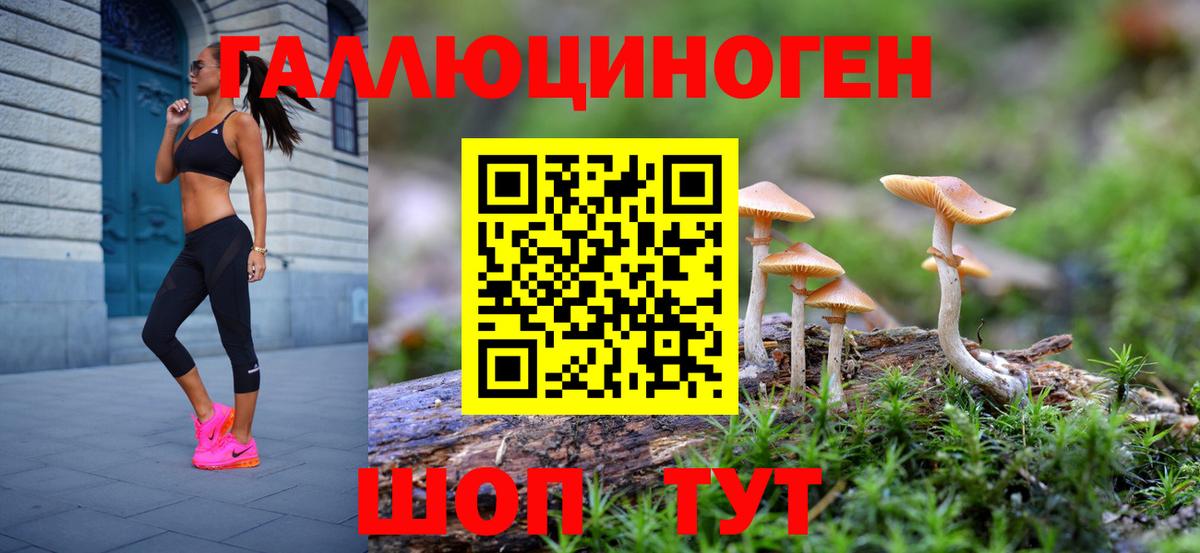Галлюциногенные грибы ЛСД  Вход с VPN  хочу   Чернушка 