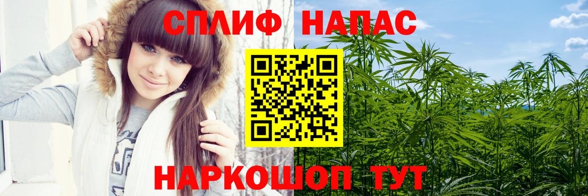 Бошки Шишки OG Kush  МАРИХУАНА планчик  Чернушка  Вход с VPN 